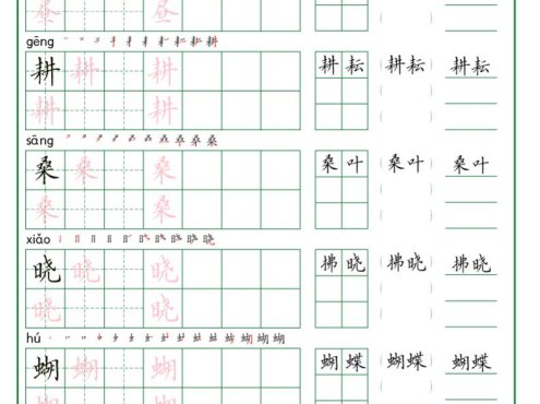 五年级下册语文生字词语练字(秋版)