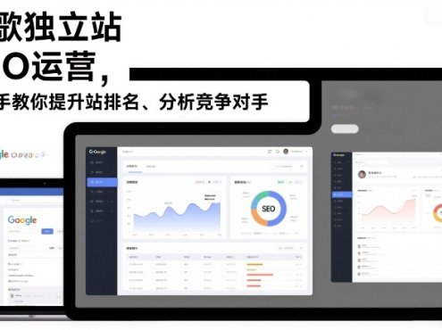 谷歌独立站SEO运营,手把手教你提升网站排名、分析竞争对手(更新2026)