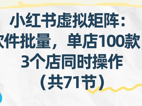小红书虚拟矩阵:软件批量发笔记,单店100款,3个店同时操作(共71节)