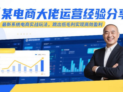 某电商大佬运营经验分享,最新系统电商实战玩法,跳出低毛利实现高效盈利