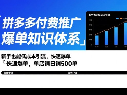 拼多多付费推广爆单知识体系，新手也能低成本引流，快速爆单，单店铺日销500单