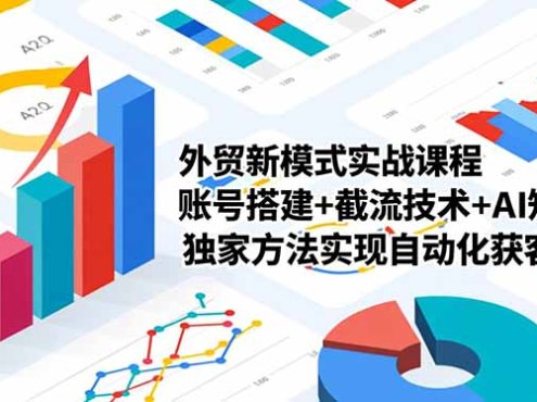 外贸新模式实战课程-更新2月，账号搭建+截流技术+AI矩阵+独家方法实现自动化获客