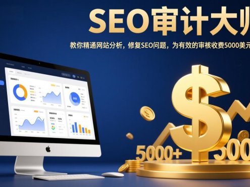 SEO审计大师:教你精通网站分析,修复SEO问题,为有效的审核收费5000美元以上!
