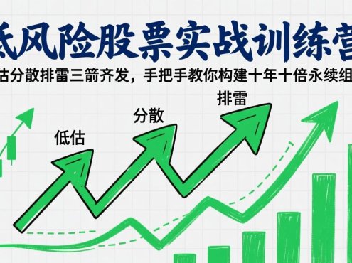 低风险股票实战训练营:低估分散排雷三箭齐发,手把手教你构建十年十倍永续组合
