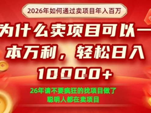 一单净利润1K+，26年想年入100个W，死磕卖项目就够了【揭秘】