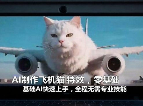 AI制作飞机猫特效,零基础AI快速上手,全程无需专业技能
