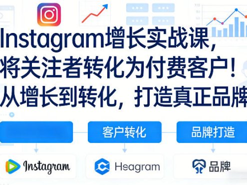 Instagram增长实战课,将关注者转化为付费客户!从增长到转化,打造真正品牌(双语字幕)