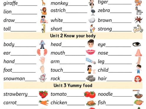 三年级下英语三大专项汇总《外研版（三起）》