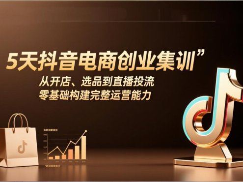 5天抖音电商创业集训：从开店、选品到直播投流，零基础构建完整运营能力