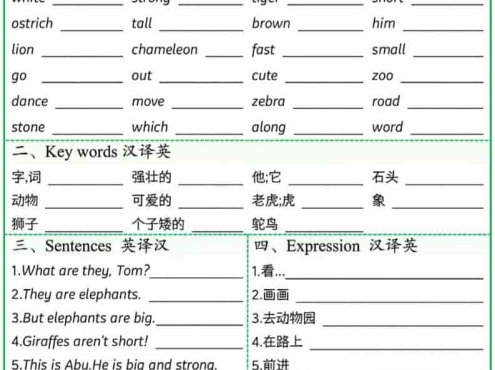 三年级下英语基础过关训练《外研版（三起）》