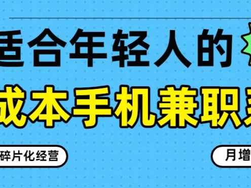 零成本手机兼职系列，长期稳定碎片化经营，月增收3000+