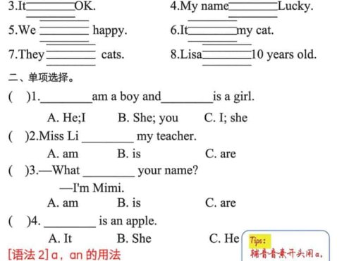 三年级下英语必备九大考点专题精练《人教版PEP》