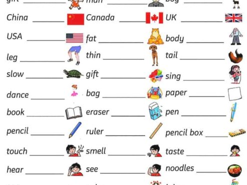 三年级下英语三大专项汇总《人教PEP版》