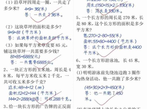 三年级下数学面积专项练习(十大考点)