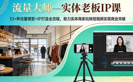 流量大师—实体老板IP课：10+种流量模型+IP打造全流程，助力实体商家玩转短视频实现商业突破