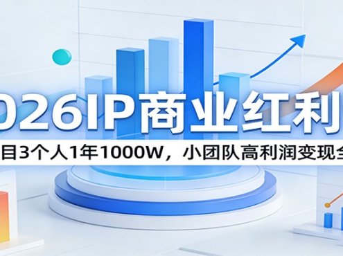 2026IP商业红利课：1个项目3个人1年1000W，小团队高利润变现全流程