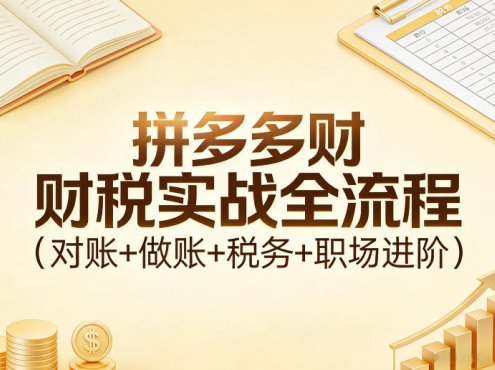 拼多多财税实战全流程(对账+做账+税务+职场进阶)
