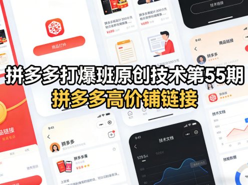 拼多多打爆班原创技术第55期，拼多多高价铺链接