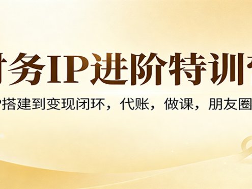 财务IP进阶特训营：从IP搭建到变现闭环，代账，做课，朋友圈运营