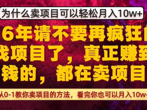 为什么真正賺到钱的都在卖项目,从0-1教你卖项目的方法,看完你也可以月入10w+【揭秘】