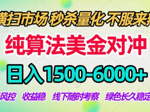 2026美金掘金新风口-纯算法对冲震撼上线!日入1500-6000+,长久合规稳健,轻松摆脱死工资