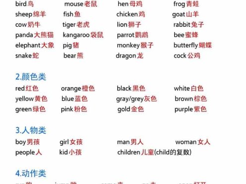 六年级下英语小升初必背单词+知识点