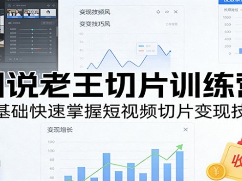 胡说老王切片训练营，零基础快速掌握短视频切片变现技巧