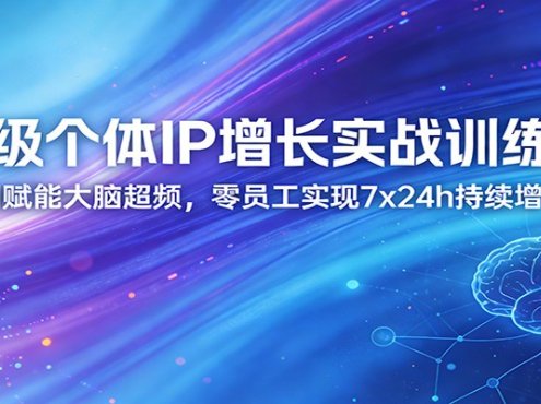 超级个体IP增长实战训练营:AI赋能大脑超频,零员工实现7x24h持续增长(更新)