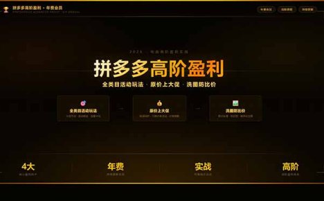 拼多多高阶盈利年费会员(更新3月31