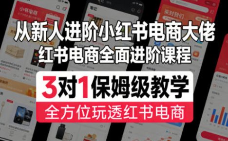 从新人进阶小红书电商大佬,红书电商全面进阶课程,3对1保姆级教学,全方位玩透红书电商