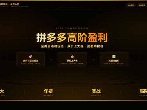 拼多多高阶盈利年费会员(更新3月31