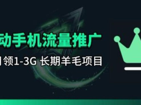 手机流量领取推广_每月一轮，刚需类的长期项目