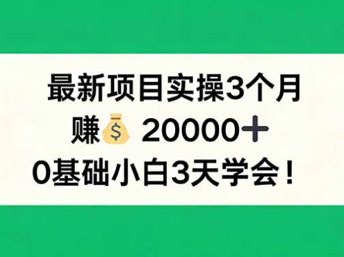 最新项目实操3个月，赚钱20000+，0基础小白3天学会！