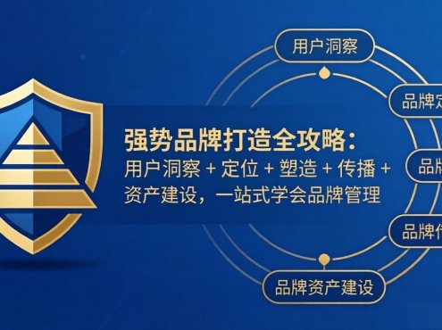 强势品牌打造全攻略:用户洞察 + 定位 + 塑造 + 传播 + 资产建设,一站式学会品牌管理
