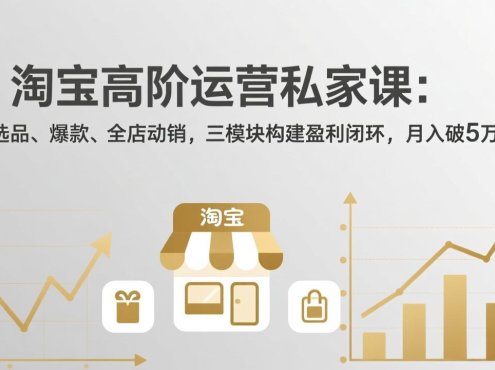 淘宝高阶运营私家课(更新26年4月