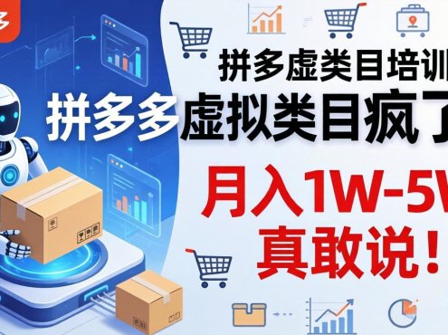 拼多多虚拟类目疯了!机器人自动发货,月入 1W-5W 真敢说!