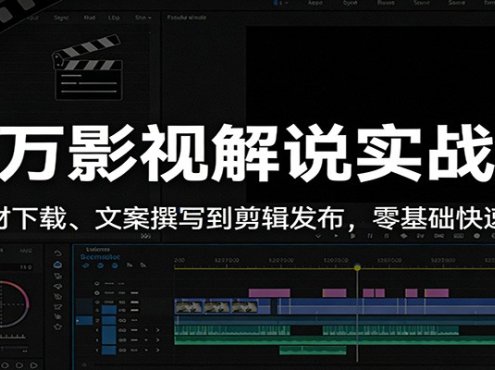 百万影视解说实战课:从素材下载、文案撰写到剪辑发布,零基础快速上手