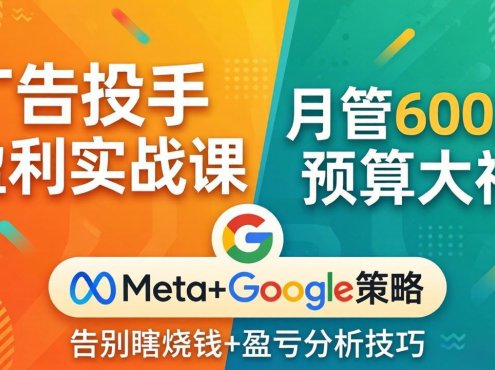 广告投手盈利实战课：月管600万预算大神，带你告别瞎烧钱，Meta+Google策略+盈亏分析