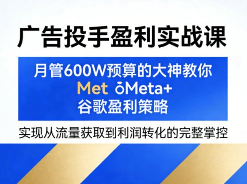 广告投手盈利实战课,月管600W预算的大神教你Meta+谷歌盈利策略,实现从流量获取到利润转化的完整掌控