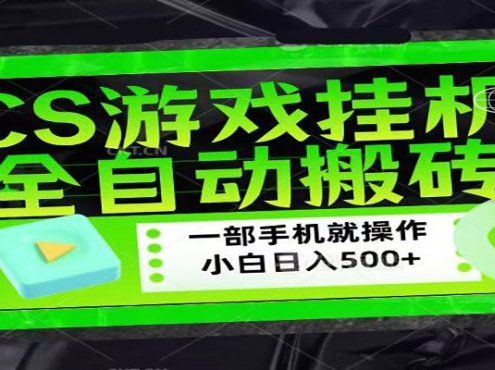 CSGO游戏挂机捡漏搬砖,超稳定的项目,带领1000+小白实现日入500+