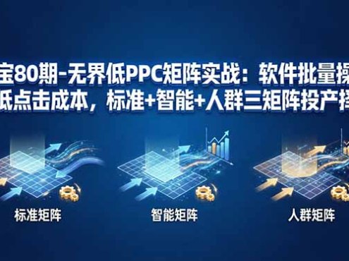 淘宝80期-无界低PPC矩阵实战：软件批量操作降低点击成本，标准+智能+人群三矩阵投产择优