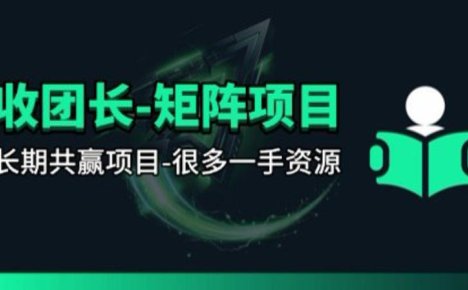 【团长合作】视频矩阵项目_招发手矩阵+剪辑师，共赢项目【揭秘】