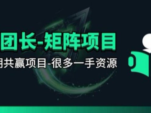 【团长合作】视频矩阵项目_招发手矩阵+剪辑师,共赢项目【揭秘】