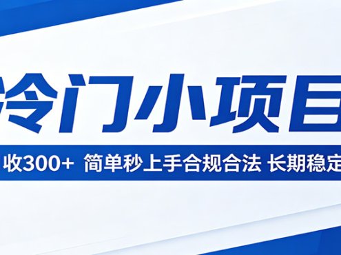 冷门小项目，日收300＋，简单秒上手合规合法，长期稳定！