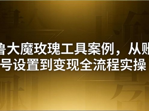 引流创业粉卖软件教学：鲁大魔玫瑰工具案例，从账号设置到变现全流程实操