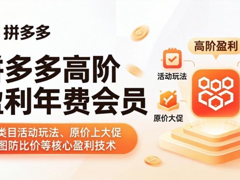 拼多多高阶盈利年费会员(更新4月19