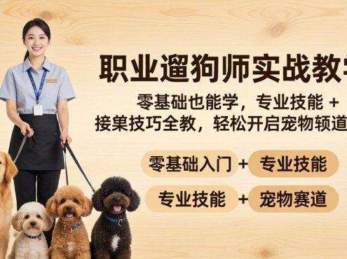 职业遛狗师实战教学：零基础也能学，专业技能 + 接单技巧全教，轻松开启宠物赛道副业
