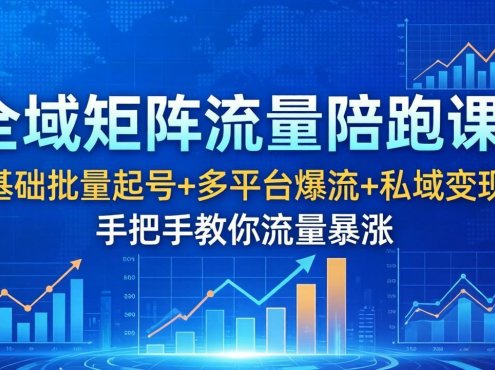 全域矩阵流量陪跑课：0基础批量起号+多平台爆流+私域变现，手把手教你流量暴涨