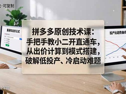 拼多多原创技术课：手把手教小二开直通车，从出价计算到模式搭建，破解低投产、冷启动难题