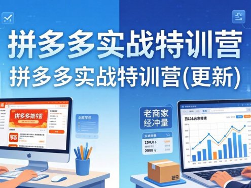 拼多多实战特训营(更新4月24